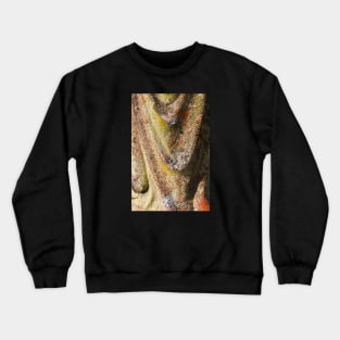 Fungus on rippled rock Crewneck Sweatshirt